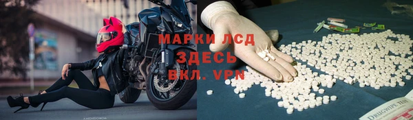 индика Ступино