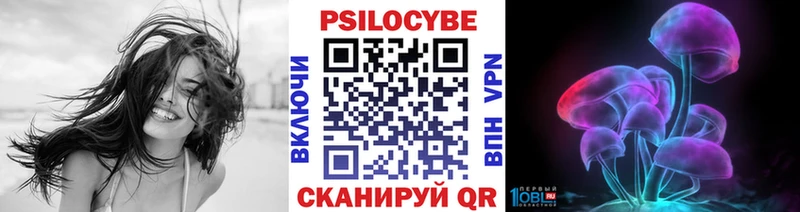 Галлюциногенные грибы Magic Shrooms  Междуреченск 
