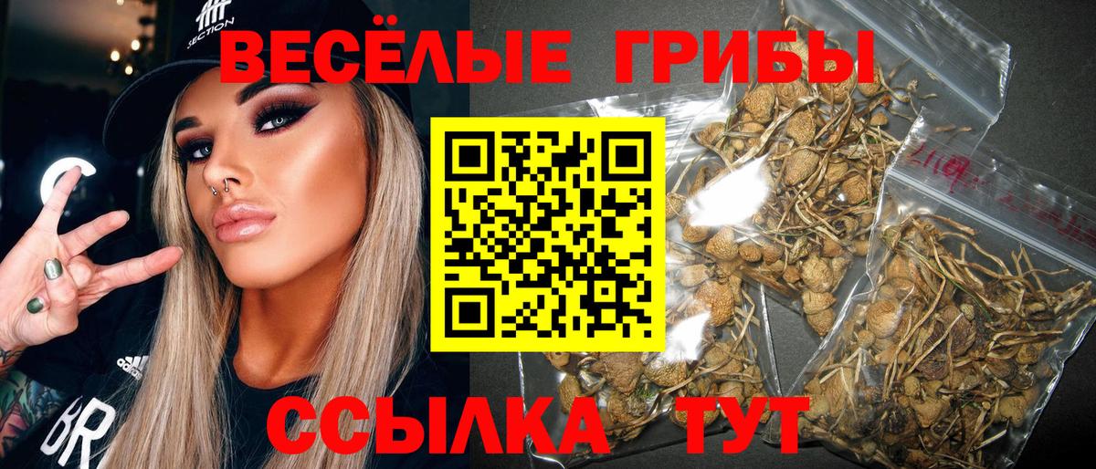Галлюциногенные грибы прущие грибы  купить закладку  Междуреченск  Псилоцибиновые грибы мухоморы  Вход с VPN 