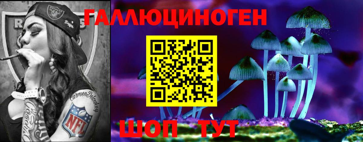 Псилоцибиновые грибы Cubensis Междуреченск